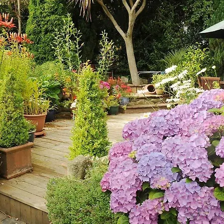 Stirabout Lane Alojamento de Acomodação e Pequeno-almoço Rathdrum