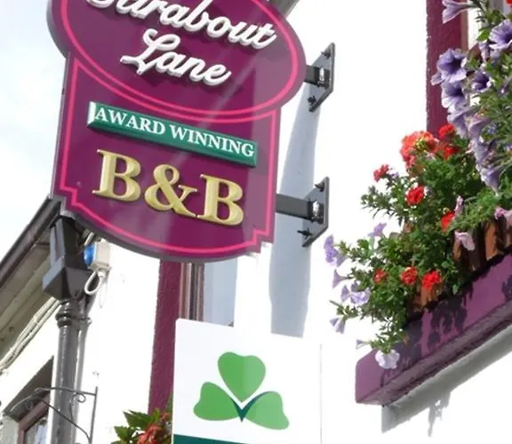 Bed & Breakfast Stirabout Lane Rathdrum