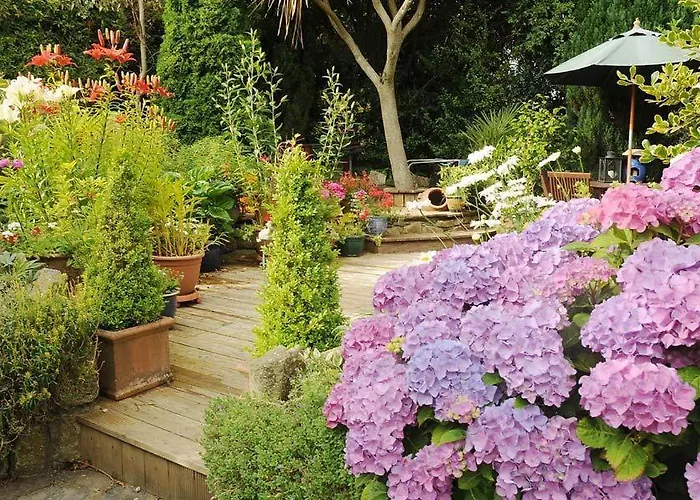 Stirabout Lane Bed & Breakfast Rathdrum